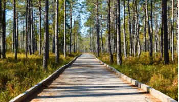 Dora Kelley Nature Park