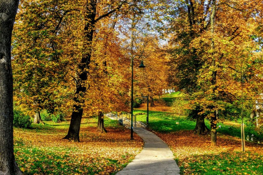 Cedar Grove Outdoor plaza with large baseball sculptures, benches, and a circular “Westcott Park” metal sign in the background.
