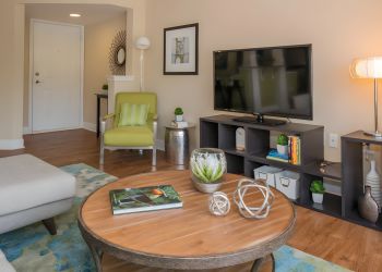 Modern living room with a TV, green chair, round coffee table, and decorative plants on wood flooring.