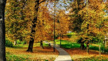 Fort Ward Park
