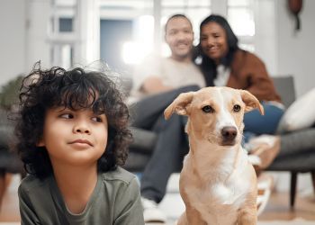 The Encore apartment homes with A child and a dog lie on the floor, with two adults sitting on a couch in the background, all indoors.