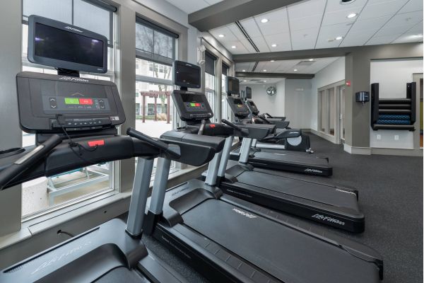Row of treadmills with screens in a modern gym with large windows and natural light.